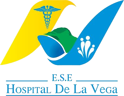 E.S.E HOSPITAL DE LA VEGA